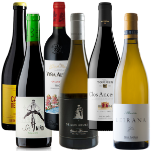 Botellas de vino